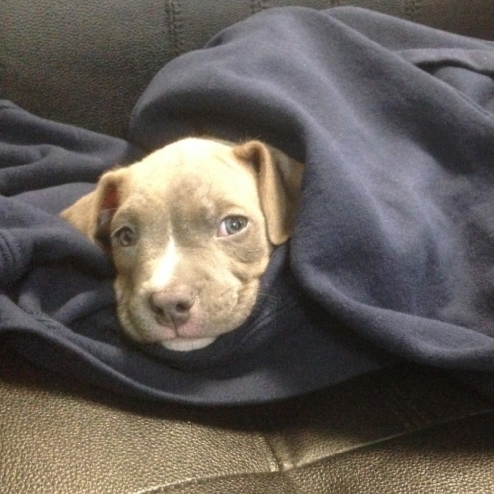 Meet your Posher, Lky